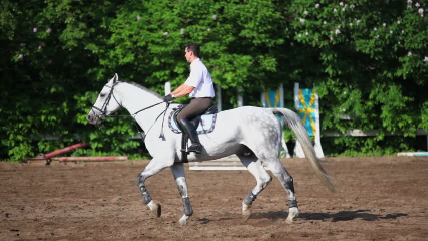 Horseman rides on horseback by equestrian field at sunny summer day