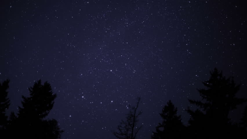 Stars Turn Through Trees, Time Lapse