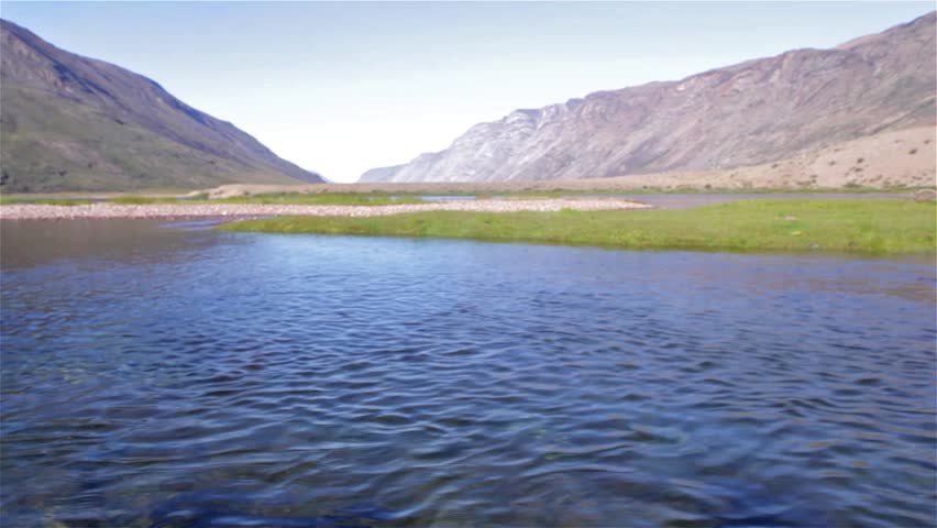 Waterline transition shot of arctic chars (Salvelinus alpinus) in clear water stream, Greenland