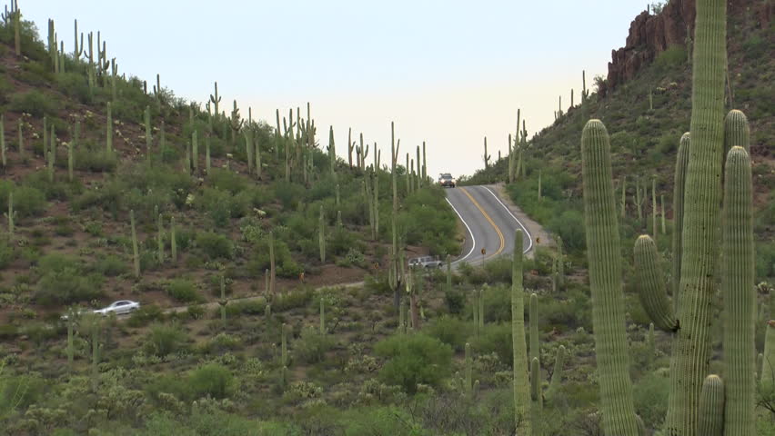 Tourists drive cars, trucks on hilly, winding, scenic road that cuts through Saguaro National Park in Tucson, Arizona. 1080p
