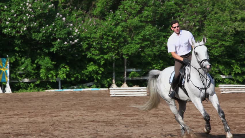 Jokey gallops on horseback by equestrian field at sunny summer day
