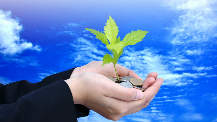 Tree growing on money with hand and blue sky time lapse