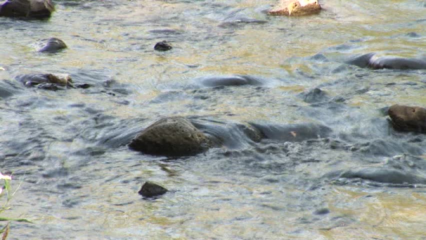 river, Stream,