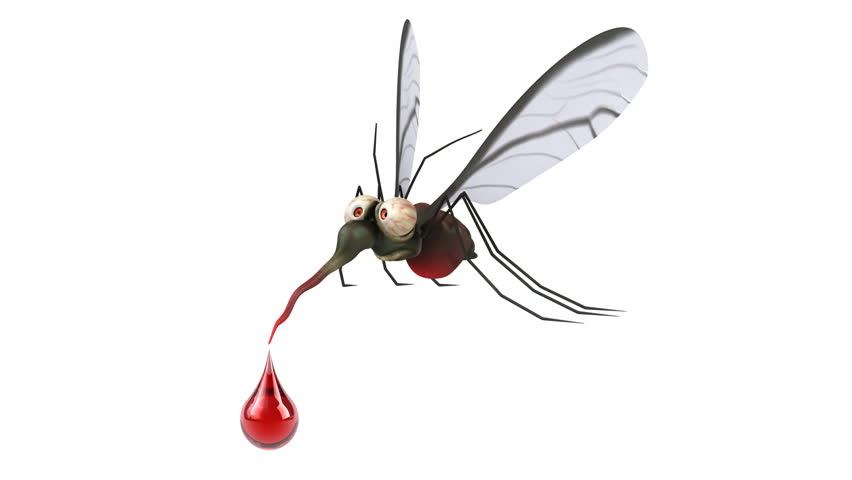 Fun mosquito