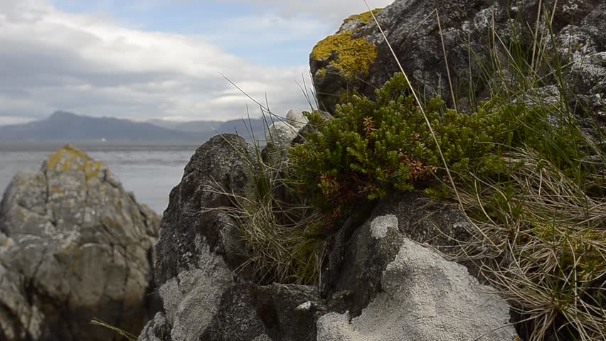 scandinavian landscape