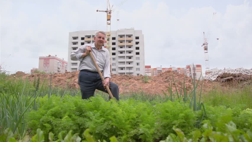 Old man puts earth up by spade on seedbeds near construction site of multilevel dwelling