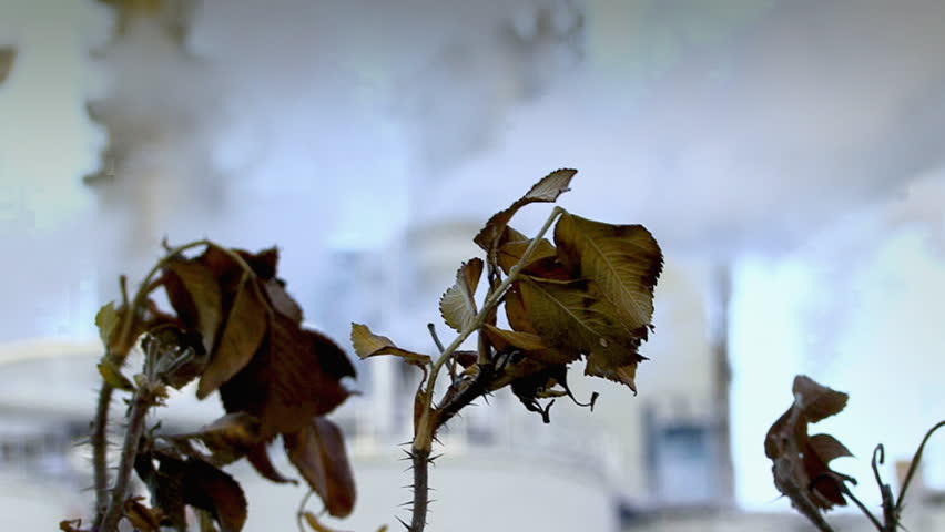 Header of Air Pollution