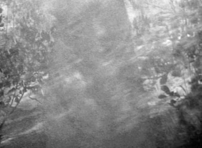Vintage 1980 super 8 sunburst filter dream-scape of crazed teenage boy running down a forested hill.  