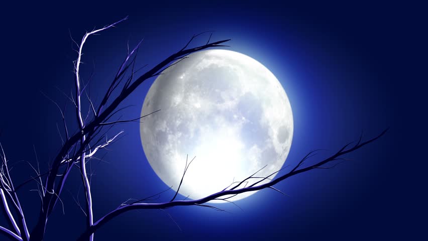animated cartoon Halloween background with growing tree, bat and moon