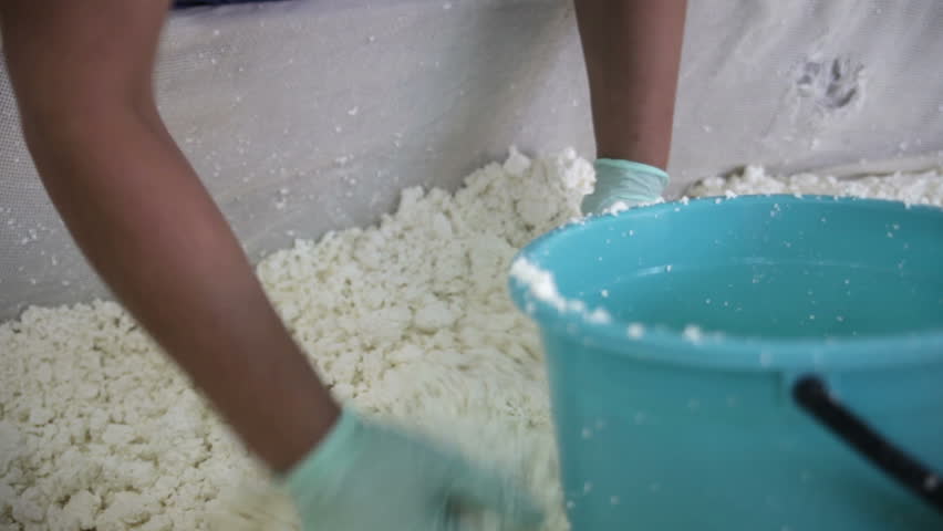 Manufacture of dairy curd products
