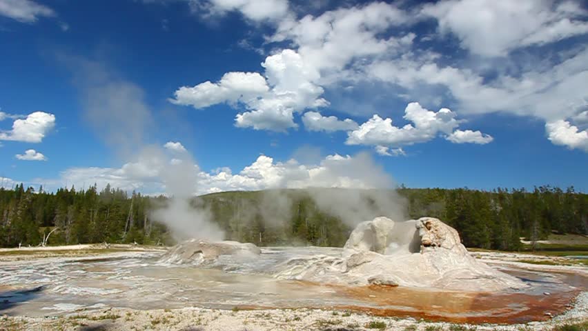 Rocket Geyser and Grotto Geyser in Yellowstone National Park of Wyoming