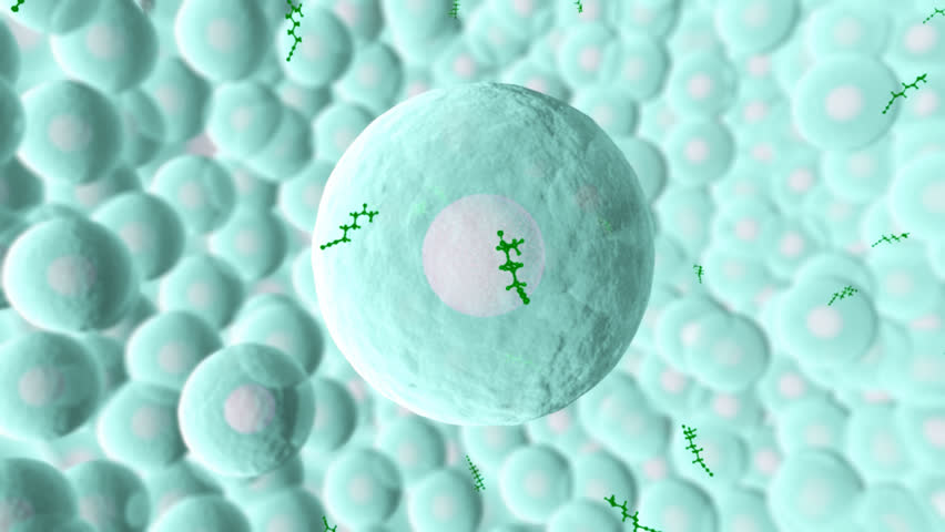 Sulforaphane entering cells via the diffusion process and has anti-cancer, anti-diabetic properties to individuals