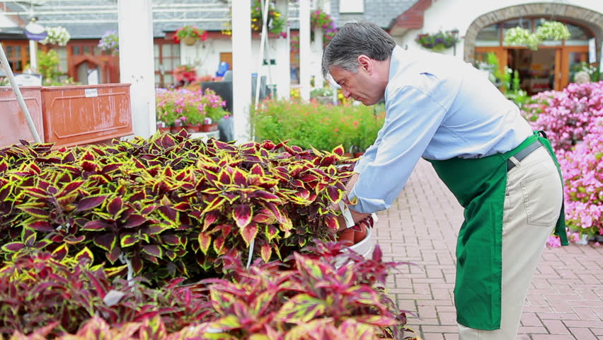 Customer asking employee to show her something in garden center
