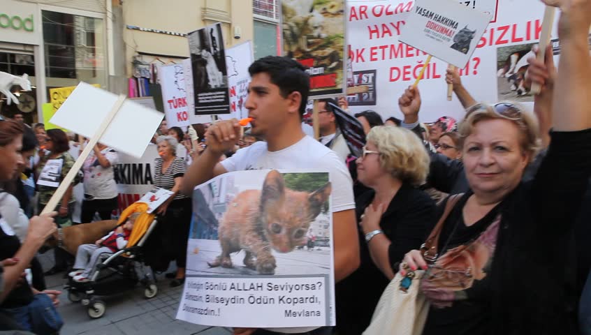 ISTANBUL - OCTOBER 21: Thousands of animal rights activists marched against a draft law on Sunday that would make changes to Turkey's Animal Protection Law No. 5199 on October 21, 2012 in Istanbul, Turkey.