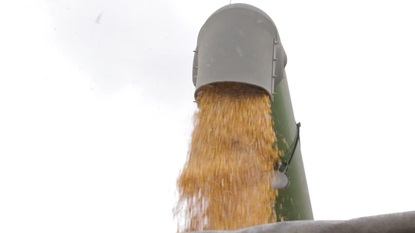 Combine Unloads Corn - Medium Close Up