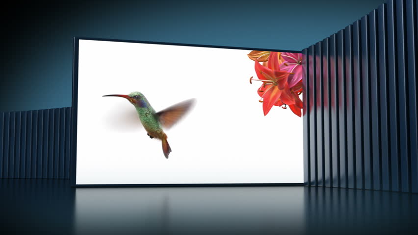 video store, loop-able 3d animation