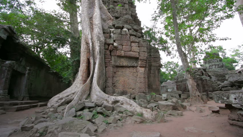 Visitor reading tourist information map in Ta Prohm temple, Angkor