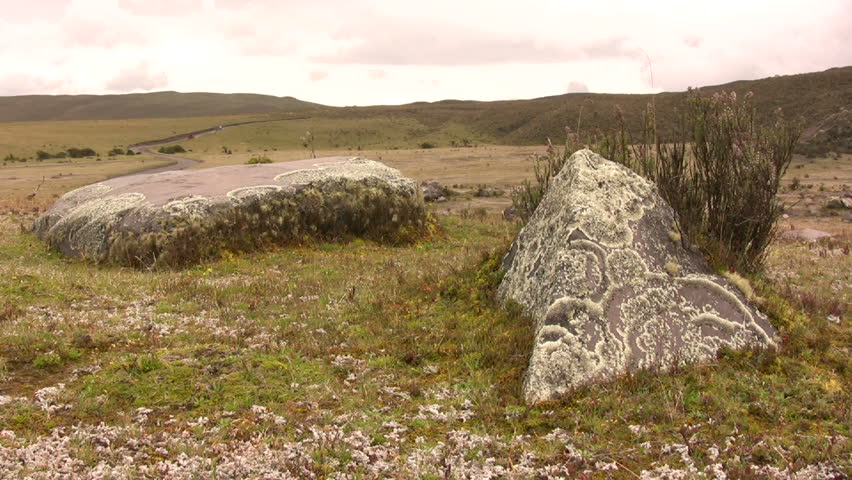 Crustose lichen crowing on boulder on paramo near Cotopaxi Volcano, Ecuador