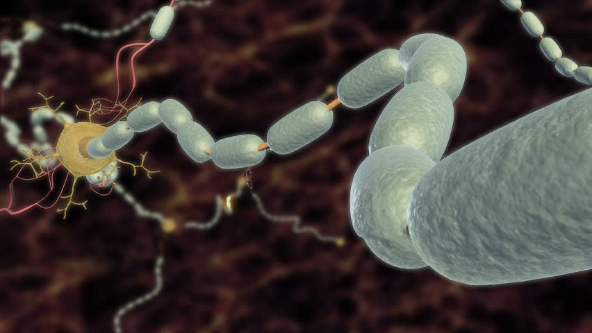 Animated video of action potential conduction propagating down healthy myelinated axon to post synaptic neuron dendrite 