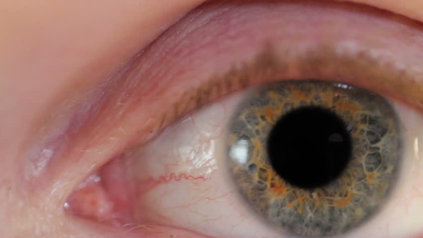 Horror Mouth and Frightened Eye Zombie sequence