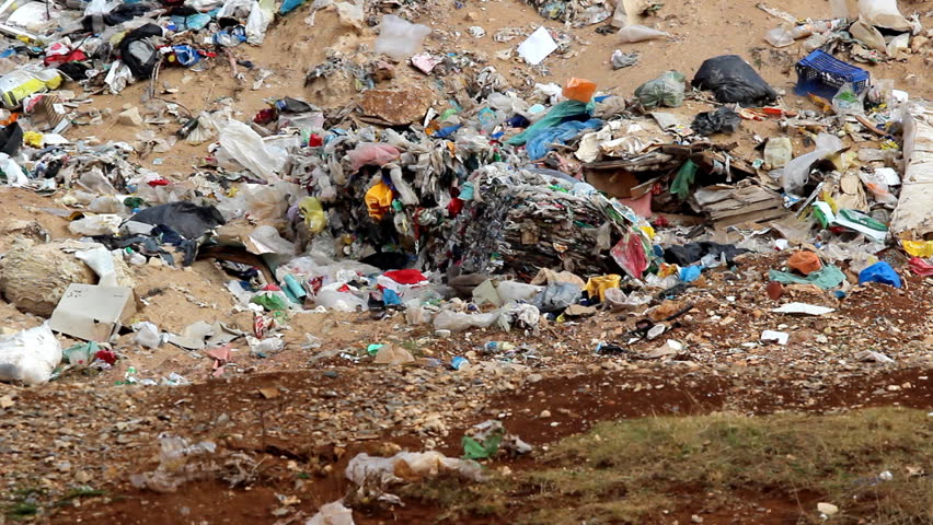 Nature and trash

Description: Trash on the landfill
