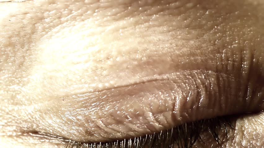 Neuronal Activity Female Blue
Zooming through a female eye into the brain