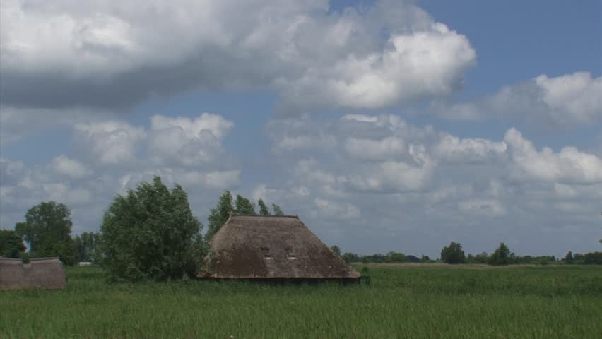 pan - reed land. Reed cultivation in Weerribben-Wieden National Park, Overijssel.