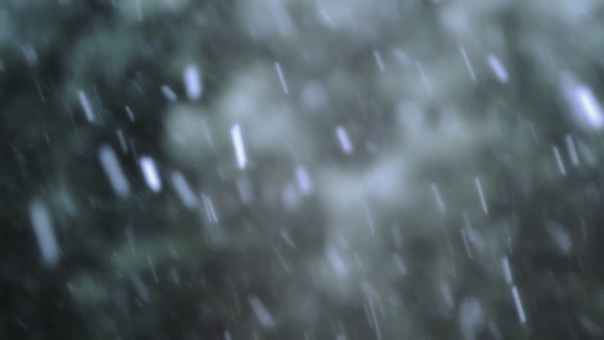 Snow Falling - Lots of Variety