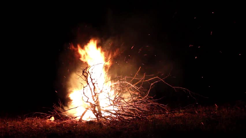 Bonfire burning  trees at night,Bonfire burning brightly , heat, light,camping,big bonfire
