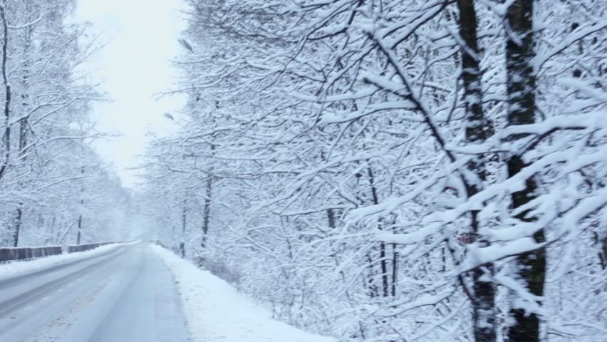 Slow ride by road along forest in snow at winter day