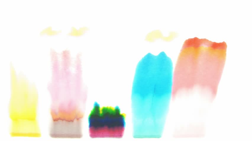 Science project: Ink chromatography on paper time lapse