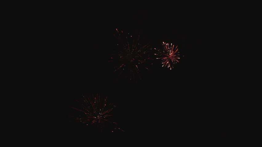 Fireworks in the night sky