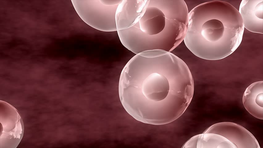 Human DNA cells.