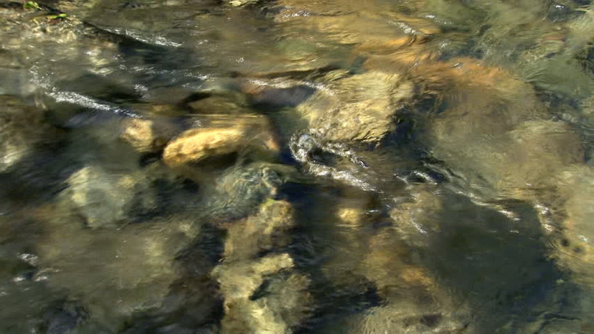 Fresh, cold, clear creek flowing briskly over its stream bed of rocks of varied shape and color.