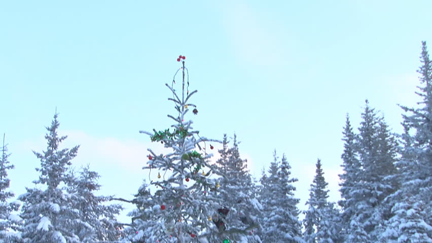 Tilt down Xmas Tree with Presents