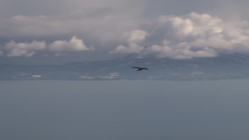Soaring Eagle Overlook
