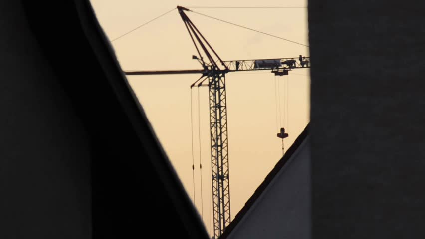 crane in sunrise