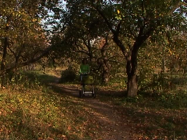 Mother with baby carriage walking in the autumnal park