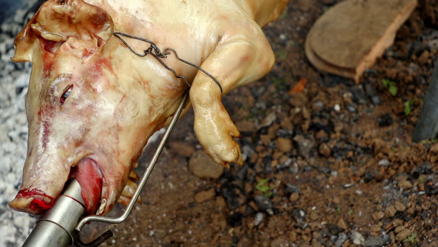 SUPER 35MM CAMERA - Pig on a spit turning slowly