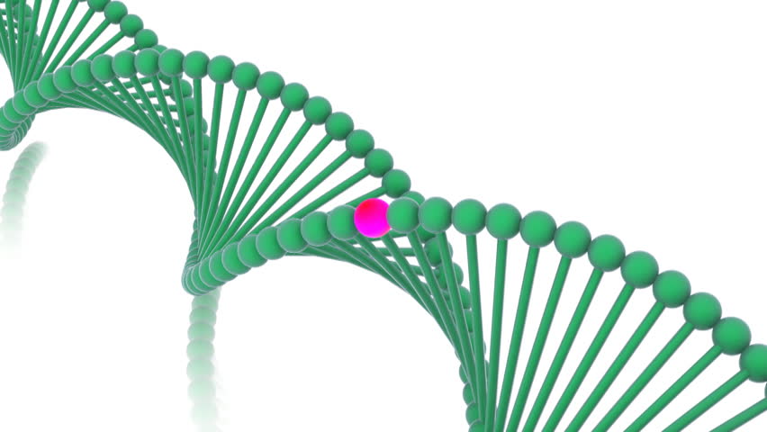 Gene in DNA