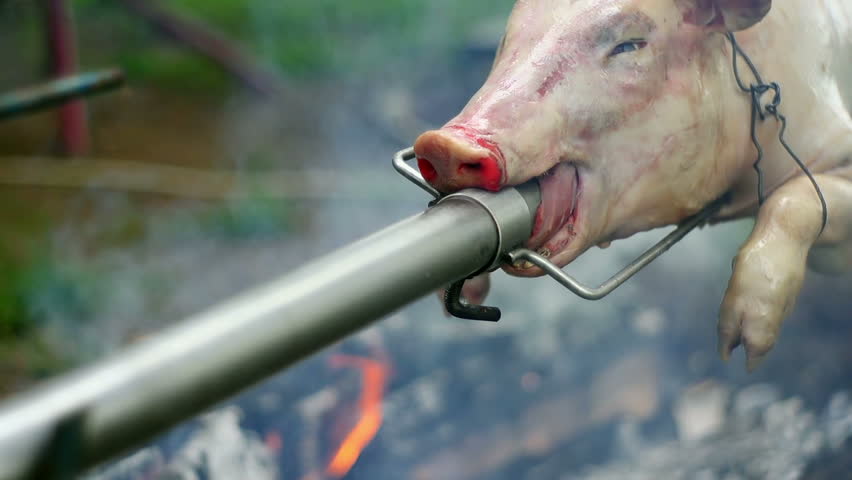 SUPER 35MM CAMERA - Pig on a spit. 
