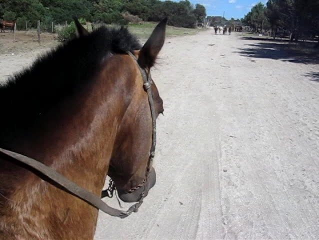 Horse riding 