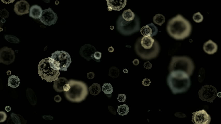 under microscope