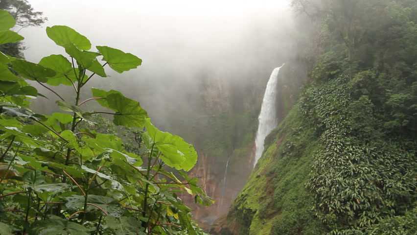 Toro Falls, Catarata del Toro, in cloud forest, Costa Rica