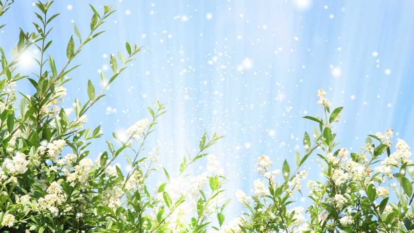 Bright Springtime Floral Background