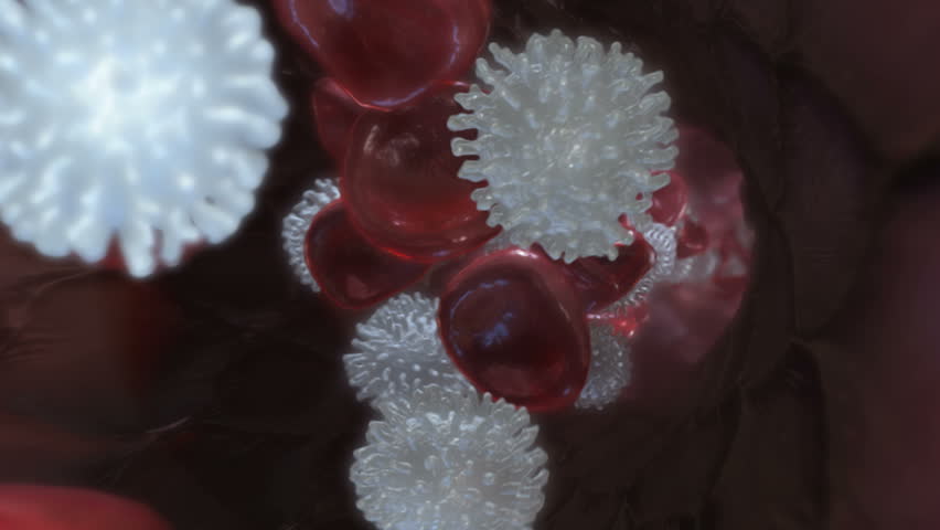 Cells.   A flowing stream of red and white blood cells traveling through a blood vessel.