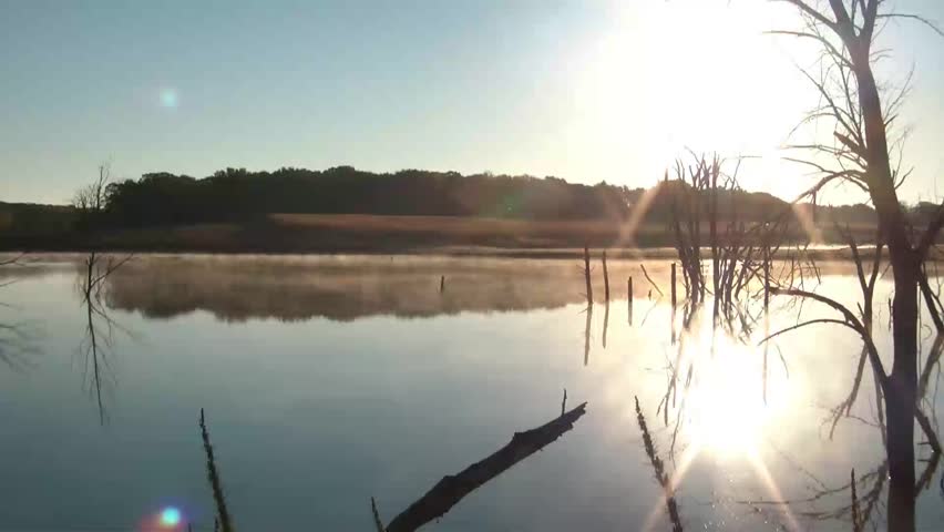 Fog drifts over pristine lake at sunrise with dead trees yielding a dreamy atmosphere overall.