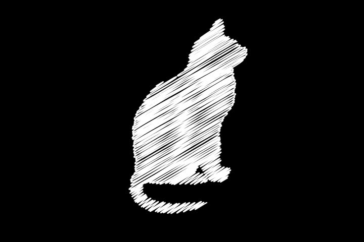 a white line scribbles a cat silhouette and then erases itself