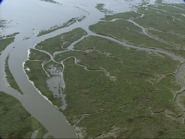 Drowned Land of Saeftinghe in Dutch delta. During the biggest flood ever in 1570 Saeftinge was overflown Today it is a nature reserve.