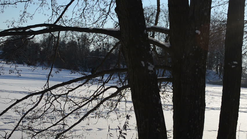 Spy hidden view under tree and people walking on frozen snowy lake ice in winter.